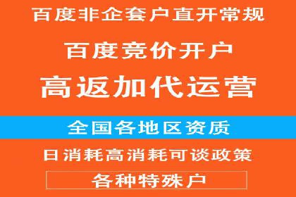SEM代理服务：提升广告投放效果